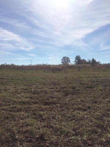 Plateau Road: Plateau Road, Crossville, TN 38571